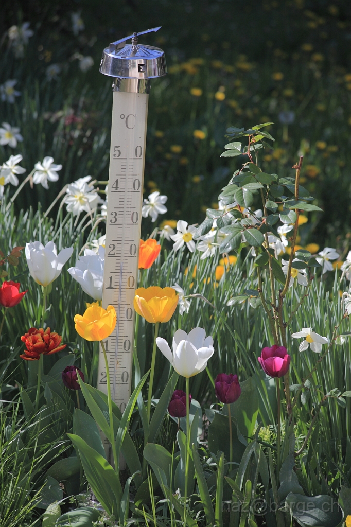 EOS 5D Mark II12_04_20148005.JPG